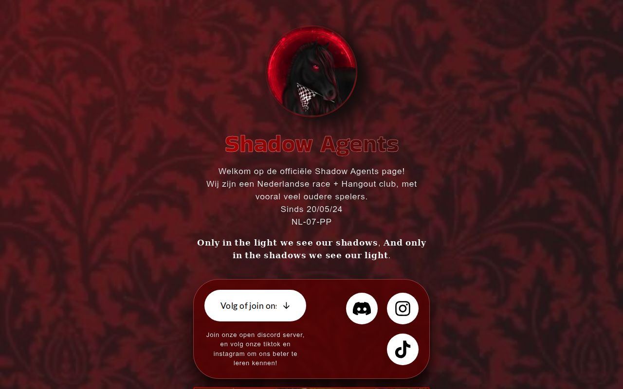 Shadow Agents